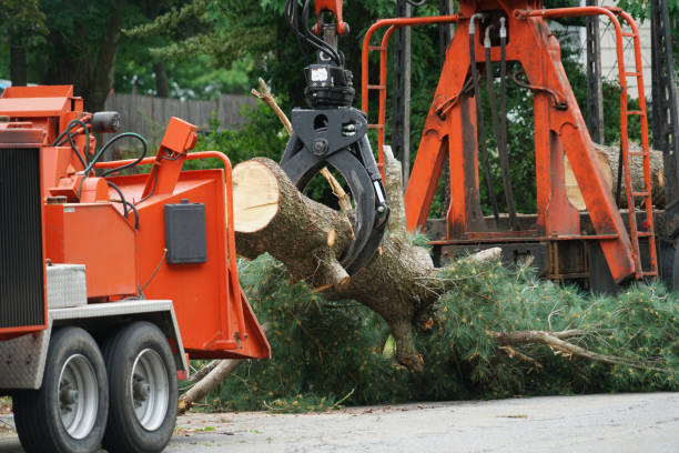 Seasonal Cleanup (Spring/Fall) in Kutztown, PA